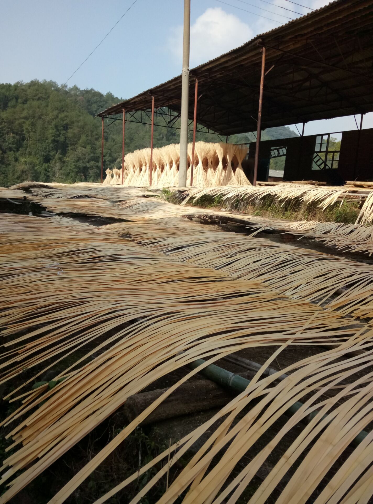 Sanming Green Bamboo Arts & Crafts Co., Ltd. bamboo steamers