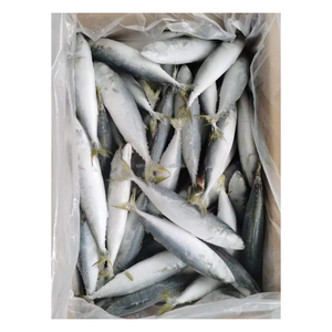 Frozen fish Mackerel horse mackerel fish whole mackerel