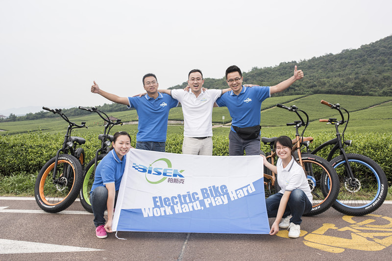 Changzhou Bisek Cycle Co., Ltd. Electric Bicycle