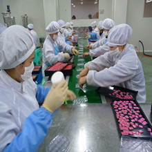 Shenzhen Vegar Cosmetics Co., Ltd. Lipstick