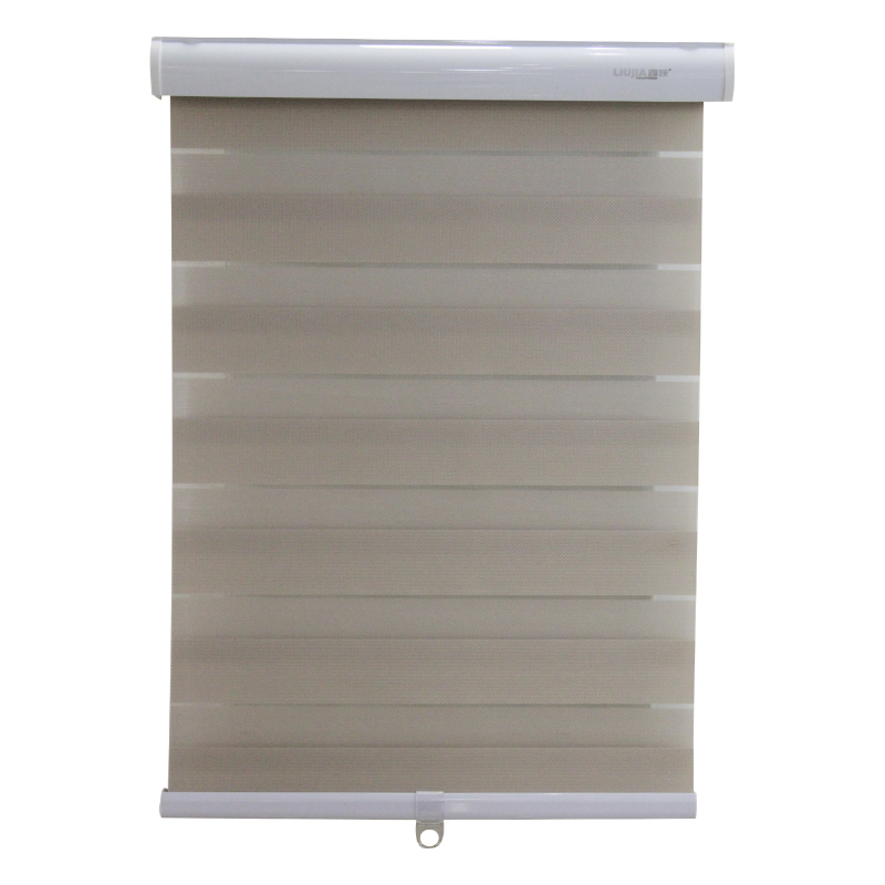 Cordless Dual Layer Blind Free-Stop Light Filtering Zebra Roller Shades