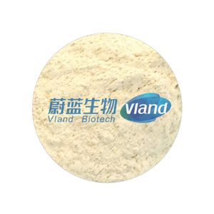 VLAND Food Grade Aminopeptidase Flavor Enzyme Food Additives
