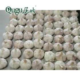 Vegetables fresh pure white garlic good quality garlic