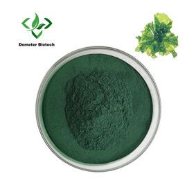 Wholesale Organic Chlorella Tablets Chlorella Vulgaris  Powder