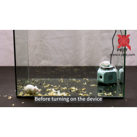 High Power 360 Degree Best Ultrasonic Indoor Pest Repeller Insect Pest Control Multiple Mice Mouse Rat Repellent ultrasonic