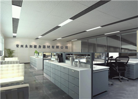 Changzhou Yonghe Fitness Equipment Co., Ltd. Gym Ball