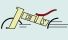 Company icon