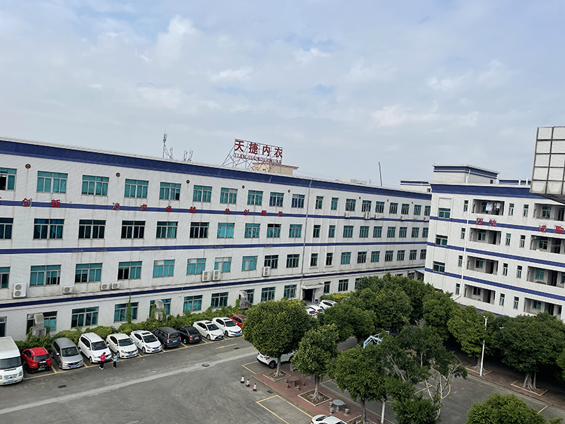 Dongguan Tianjie Underwear Co., Ltd. panties