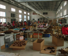QINGDAO EVERMAGIC HAIRS PRODUCTS CO., LTD. lace wigs