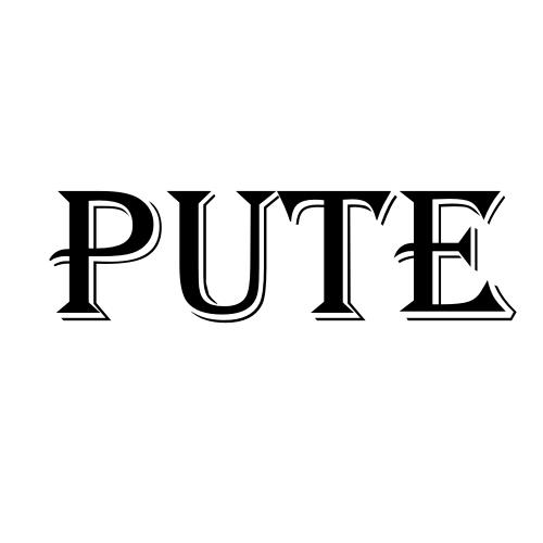 Yiwu Pute Trading Co., Ltd. logo