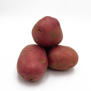 whole sale of desire potatoes for good price