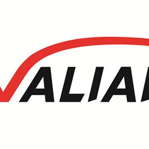 Company icon