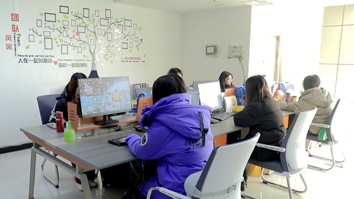 Shandong Rapid New Energy Technology Co., Ltd. Electric Bicycle