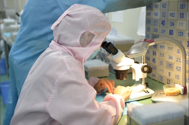 Hebei Blue Bio Technology Co., Ltd. PDO Thread