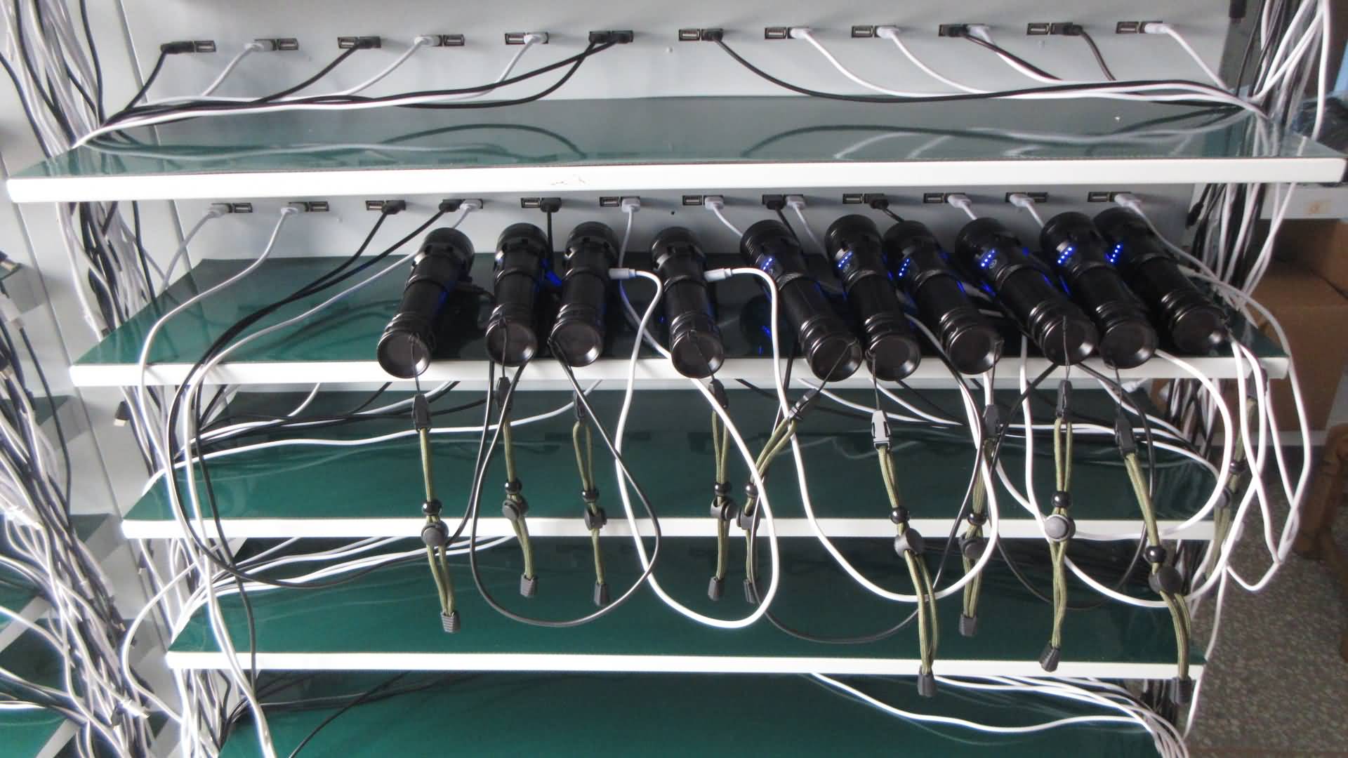 Hangzhou Zorro Outdoor Products Co., Ltd. Solar Garden Light