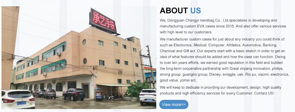 Dongguan Chengyi Handbag Co., Ltd. EVA Case