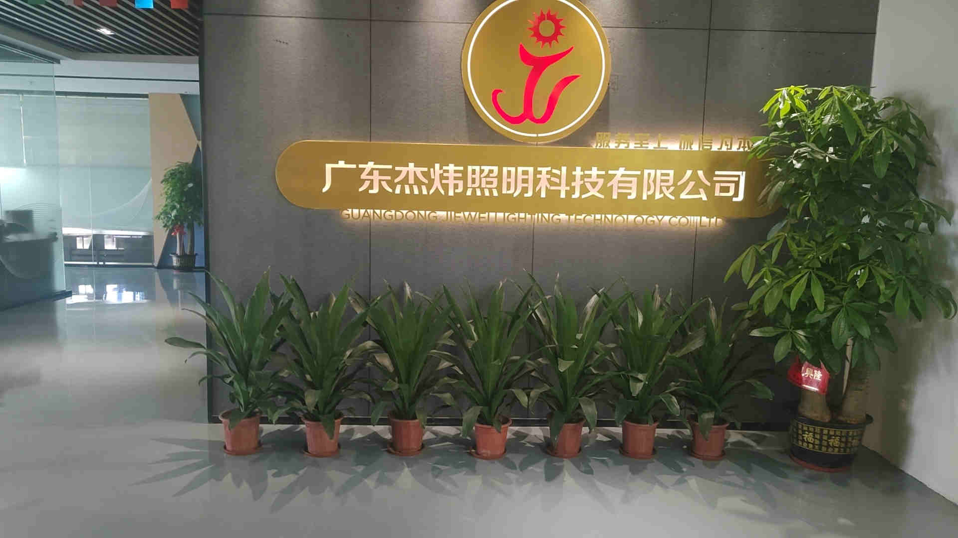 Guangdong Jiewei Lighting Technology Co., Ltd. LED Street Light