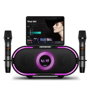 RHM RM-K666 Plus Professional All-in-One Karaoke Speaker Hot Selling with Strobe Gradient Light and Party Machine Microphones