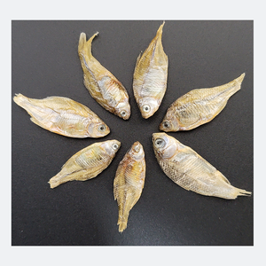 Pet Food Factory Wholesale Dried Fish Dry Cat Food Cat Snack High Protein Freeze Dried Anchovies Pet Treats