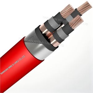 N2XSERGBY/NA2XSERGBY Medium Voltage XLPE Insulated Power Cable Cu(al)/xlpe/cts/pvc/swa/pvc PVC 3.6/6 6/10 8.7/15 Kv 3 Core 500m