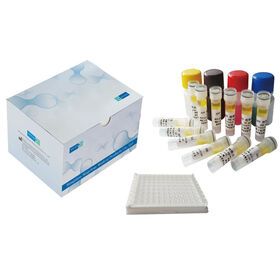 Alibaba Trade Assurance Supplier Medical Device ELISA AFP Test Kit