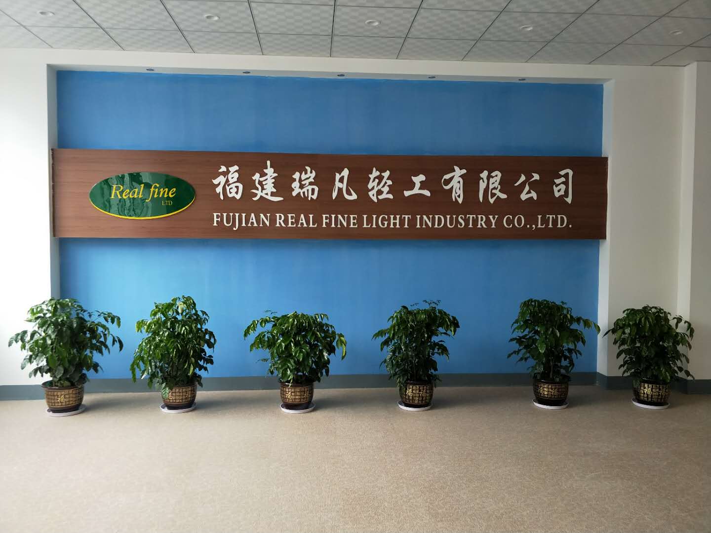 Fujian Real Fine Light Industry Co., Ltd. Nativity Sets