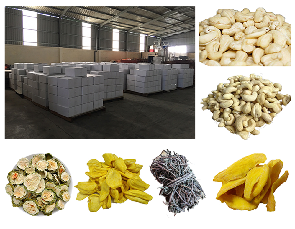 99 Gold Data Processing Trading Company Limited Rattan Furniture