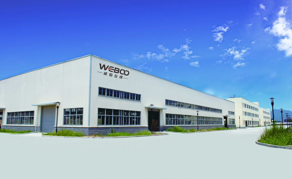 Tengyue Import & Export Co., Ltd Billiard Accessories