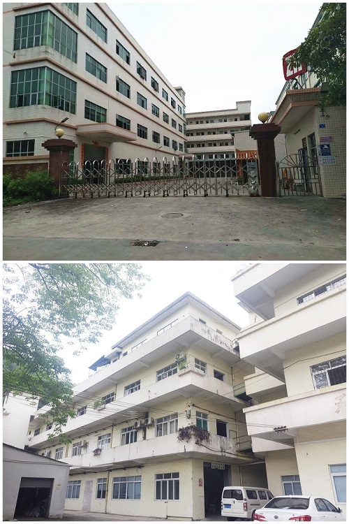 Guangzhou Rong Zhi You Medical & Technology Co., Ltd. Medical Teaching Model