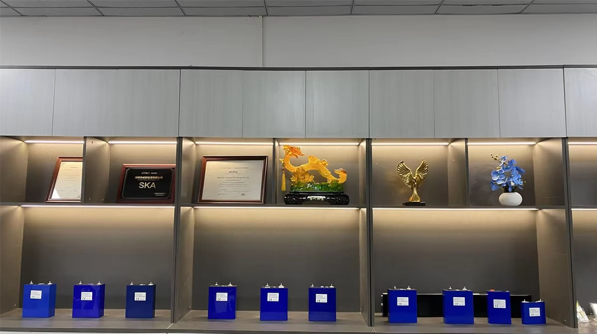 Shenzhen Topway New Energy Co.,Ltd Lithium Ion Battery