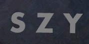 Shanxi Shengzeying International Trade Co.,Ltd. logo