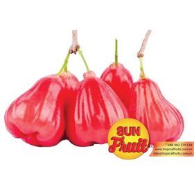 Dried Roseapple Wholesale