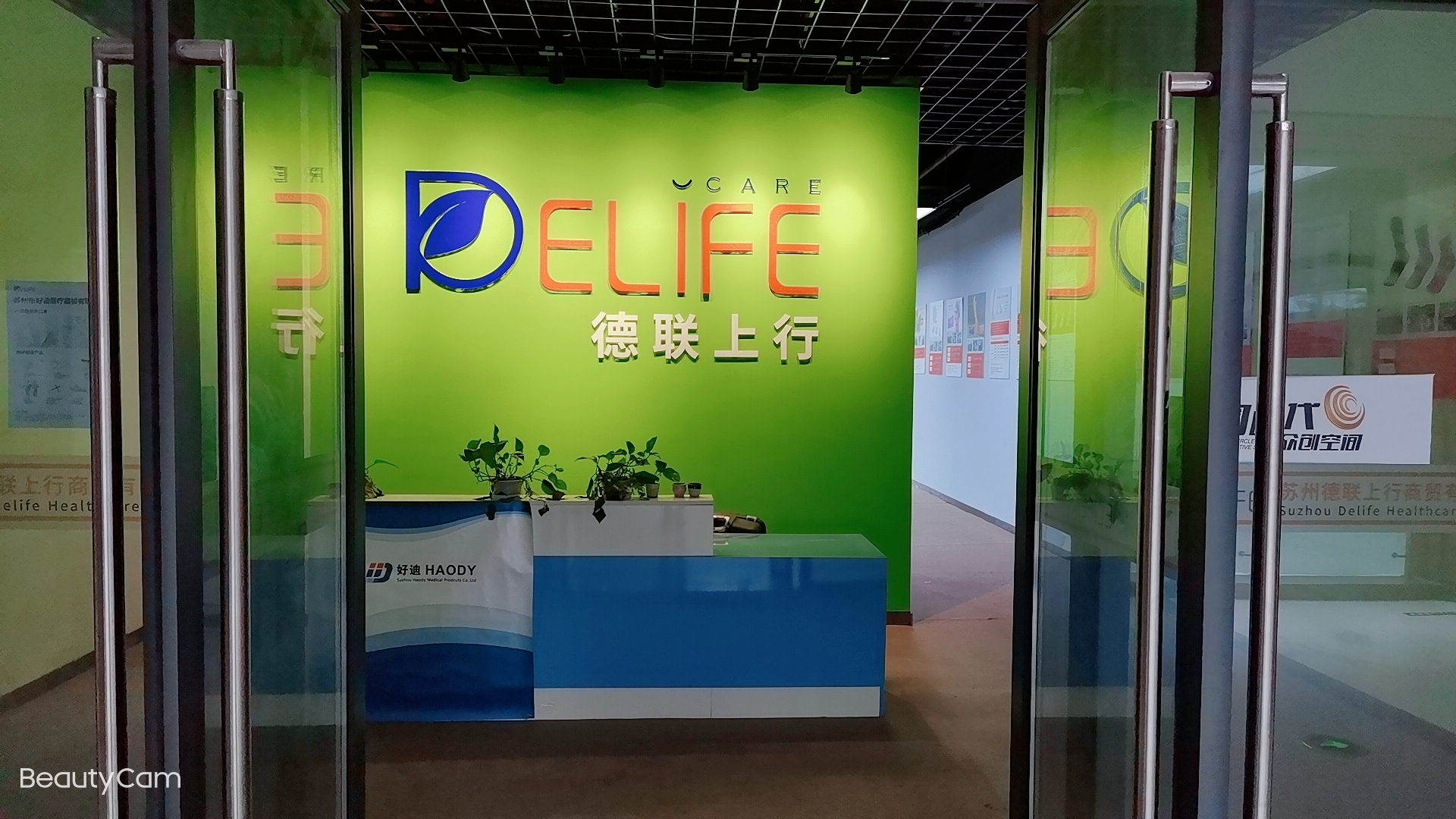 Suzhou Delife Healthcare Co., Ltd. Toupees