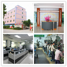 Huizhou Ever Glory Industrial Co., Ltd. Action Figures