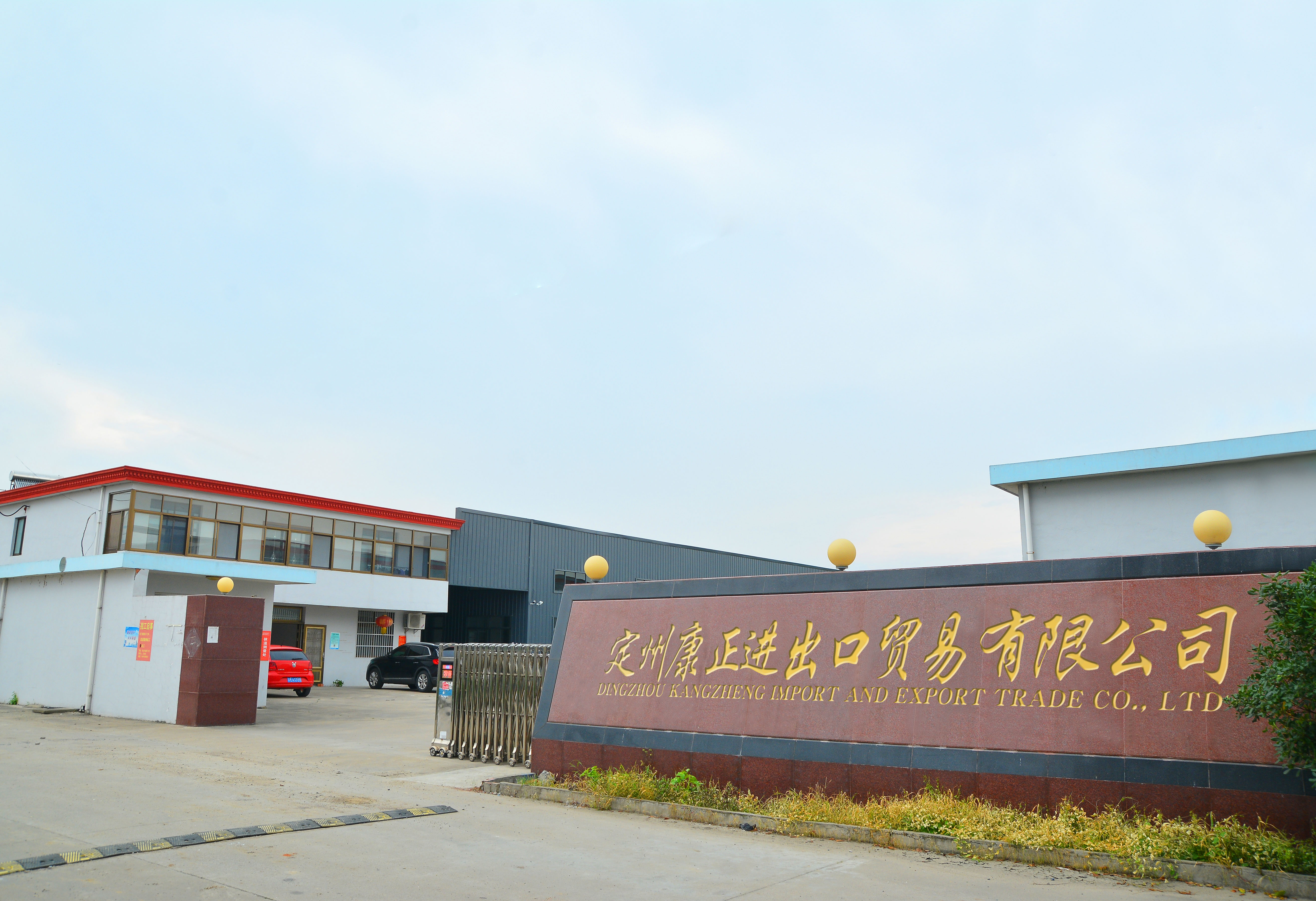 Dingzhou Kangzheng Import And Export Trade Co., Ltd. Kettlebells