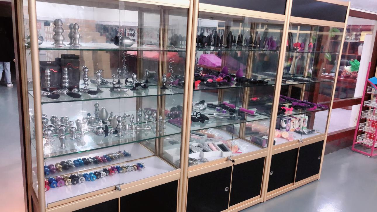 Shenzhen Shunqu Technology Co., Ltd. Vibrator