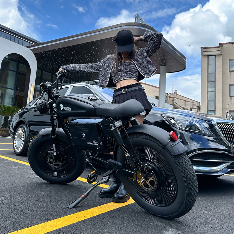 Hefei Anyucheng Electric Technology Co., Ltd. us/eu stock CE EEC COC 3000W 5000W 8000W Lead-Acid Battery Electric Dirt Bike Adult Electric Motorcycles citycoco chopper
