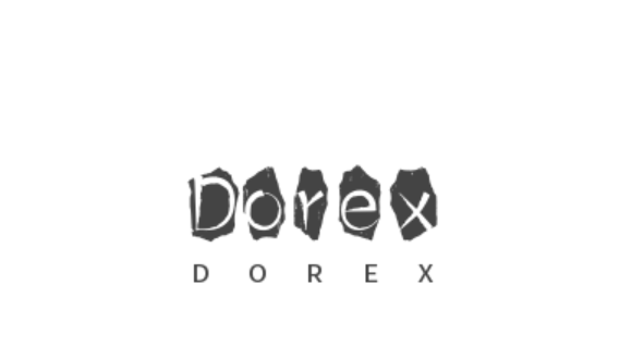 Shanxi Dixin Technology Co., Ltd. logo