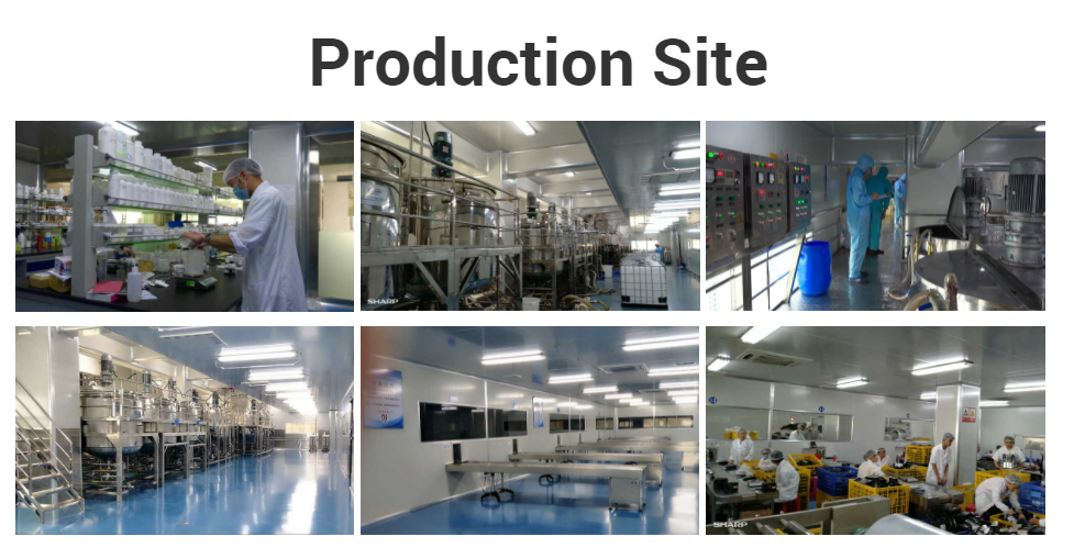 Guangzhou Yili Cosmetics Co., Ltd. Face Serum