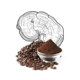 OEM High Quality Coffee 100% Organic Arabica Coffee Beans For Drinking with medicinal mushroom extract mixPopular