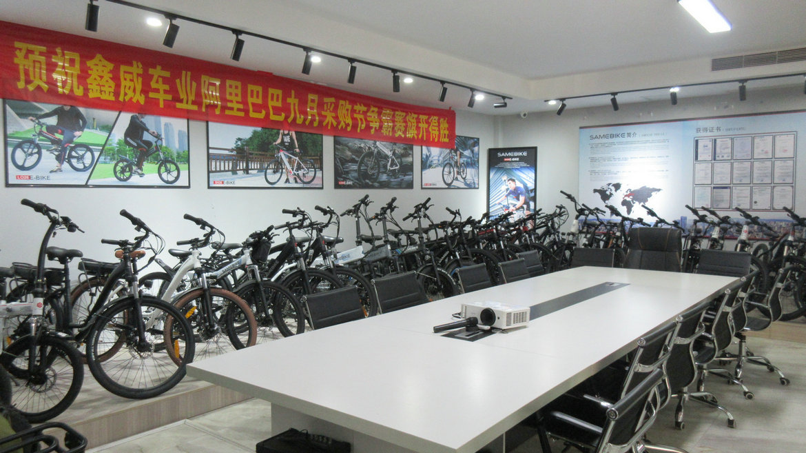 Guangzhou Sameway Electric Bicycle Co., Ltd. Fat Tire Electric Bike