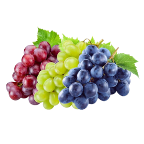 Green Point for Import and Export Grapes