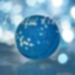You're Gorgeous Handmade Soap Ltd. Winter Flurry Christmas Foaming Bath Bomb