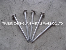 Tianjin Zhonglian Metals Ware Co., Ltd. EG Roofing Nails
