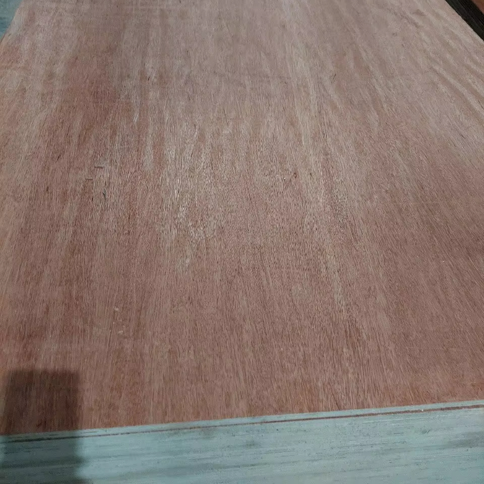 KE GO COMPANY LIMITED GOOD PRICE AT PACKING PLYWOOD AA BOTH SIDE BINTANGOR