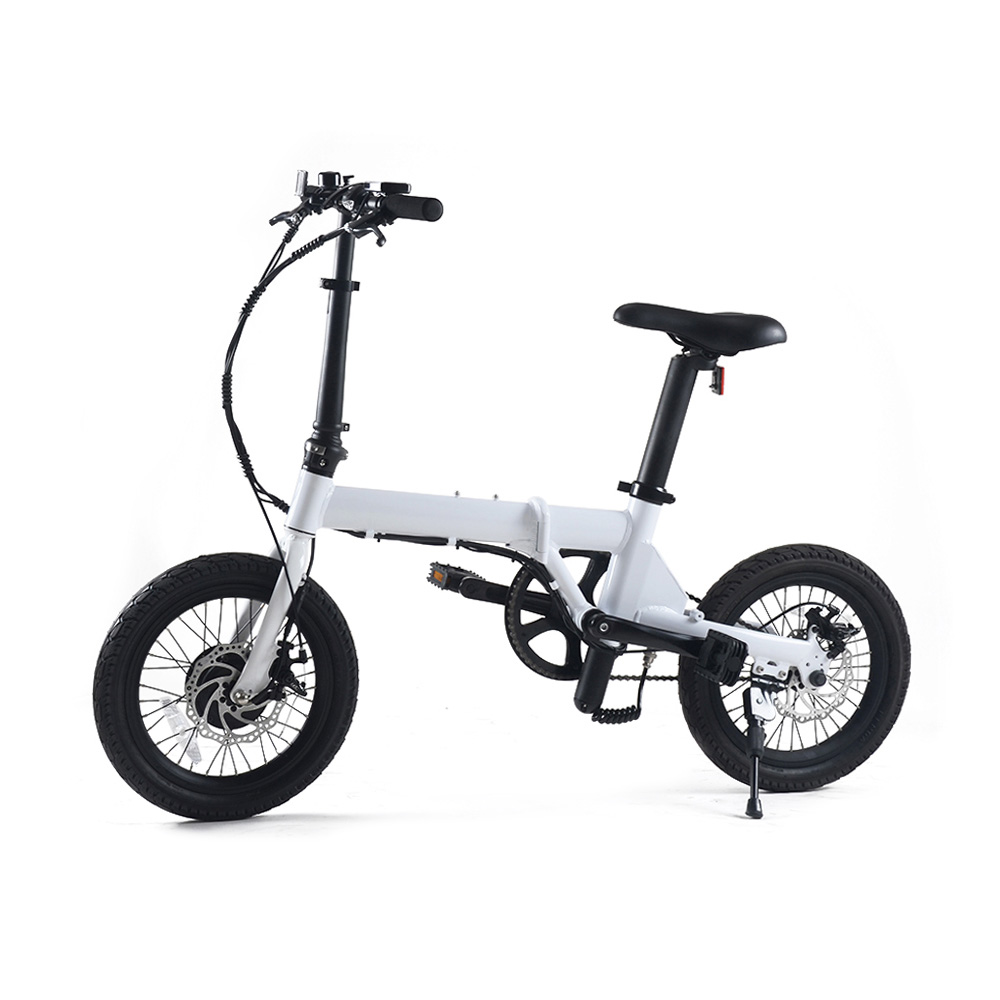 Changzhou Hoya High-Tech Co., Ltd. Popular 250W 350W Ebike 16 Inch City Ebike For Adult Foldable OEM ODM Electric Bike From China Supplier