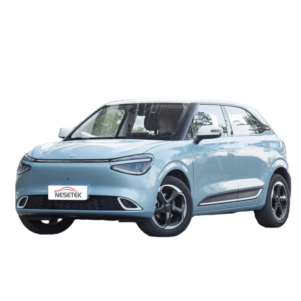Chengdu Goalwin Technology Co., Ltd. Dongfeng nano 01 Mini Ev cars 330km 430km nammi nano box 01 2024 new chinese mini pure electric cars from china