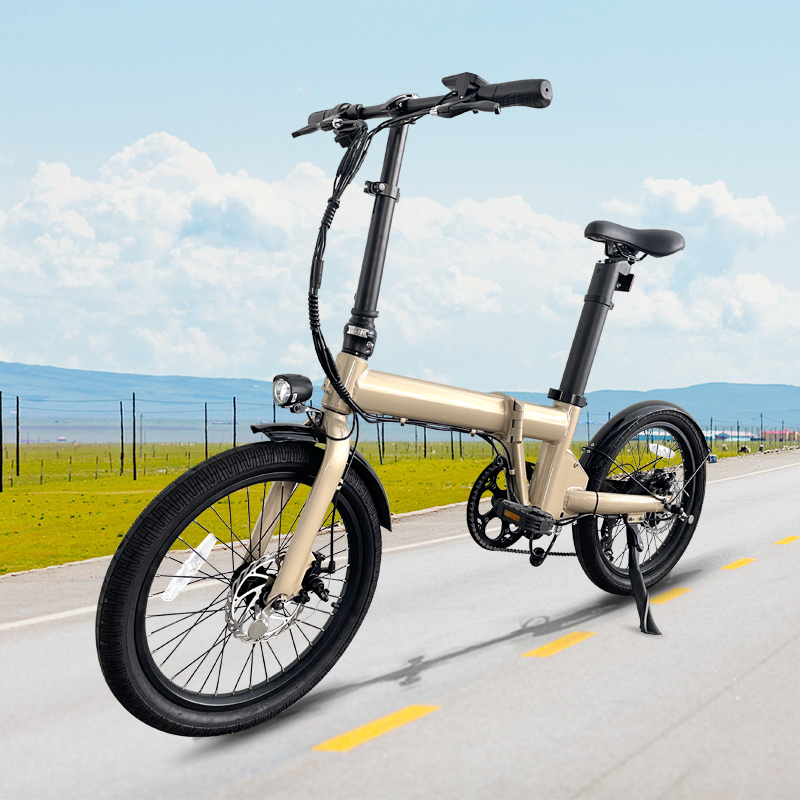 Changzhou Hoya High-Tech Co., Ltd. Factory Direct 20 inch quick new model electric bicycle road bike pieghevole with LCD display