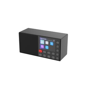 Shenzhen Reflying Electronic Co., Ltd DAB Radio for Seniors