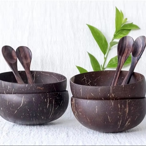 Vietnam Natural Coconut Bowl set with Spoon for Salad/Noodle/Fruit Wooden Bow for Kid Kitchenware